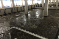 2018-10-12-11.36.51-min